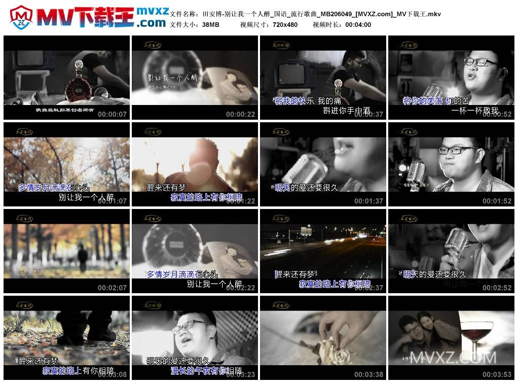 田安博-别让我一个人醉_国语_流行歌曲_MB206049